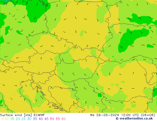 Surface wind ECMWF We 29.05.2024 12 UTC