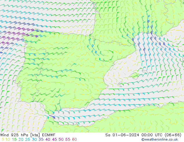 ветер 925 гПа ECMWF сб 01.06.2024 00 UTC