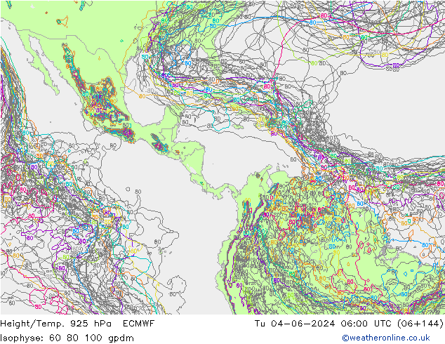 Height/Temp. 925 hPa ECMWF wto. 04.06.2024 06 UTC