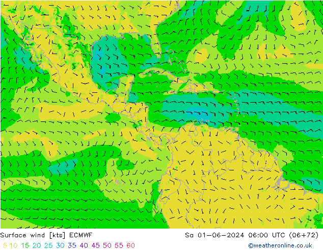 Surface wind ECMWF Sa 01.06.2024 06 UTC