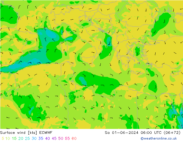 Surface wind ECMWF Sa 01.06.2024 06 UTC