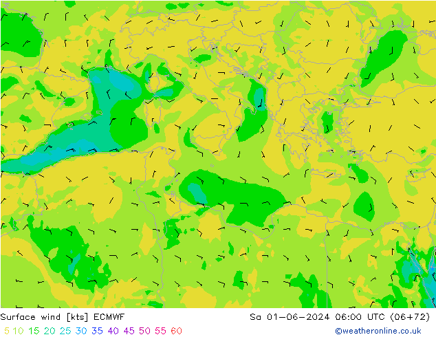 ветер 10 m ECMWF сб 01.06.2024 06 UTC