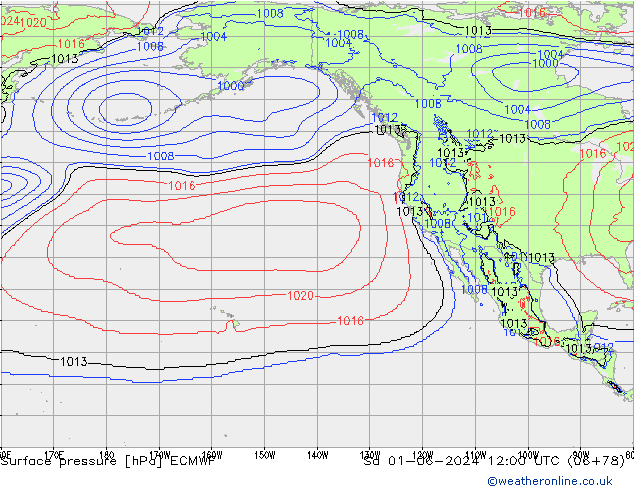 Surface pressure ECMWF Sa 01.06.2024 12 UTC