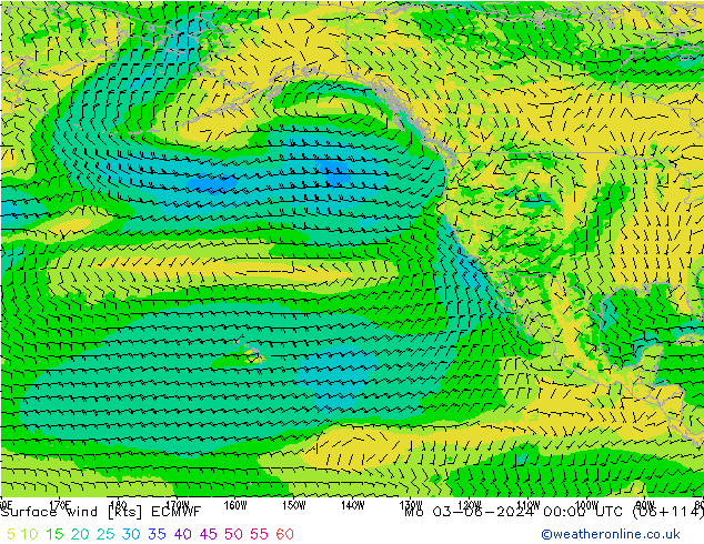  10 m ECMWF  03.06.2024 00 UTC