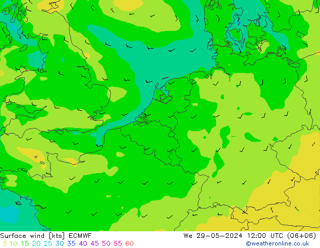 Surface wind ECMWF We 29.05.2024 12 UTC