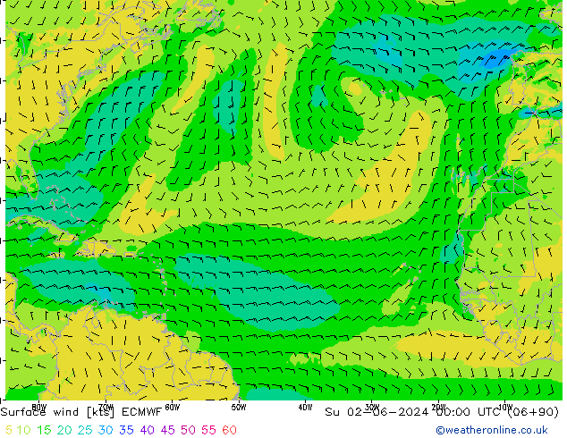 Vent 10 m ECMWF dim 02.06.2024 00 UTC