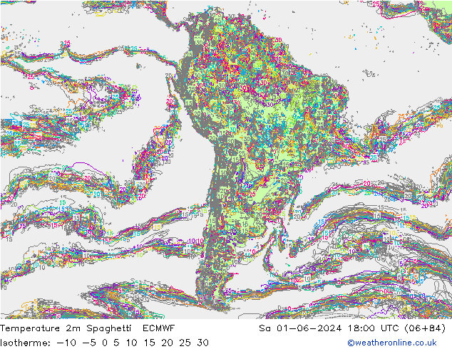 Temperatuurkaart Spaghetti ECMWF za 01.06.2024 18 UTC