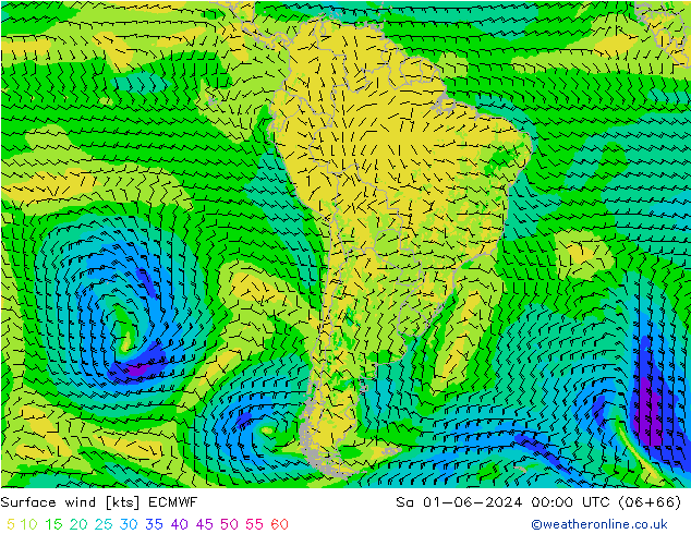 Surface wind ECMWF Sa 01.06.2024 00 UTC