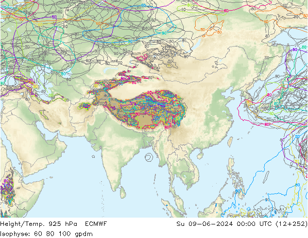 Height/Temp. 925 hPa ECMWF Su 09.06.2024 00 UTC