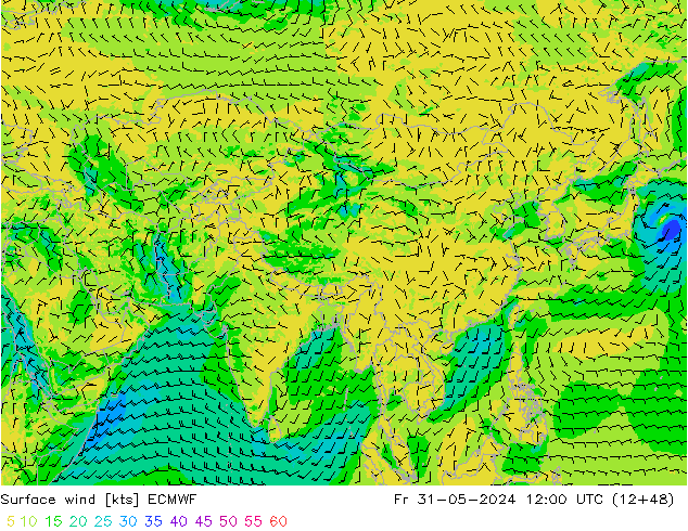 Surface wind ECMWF Fr 31.05.2024 12 UTC