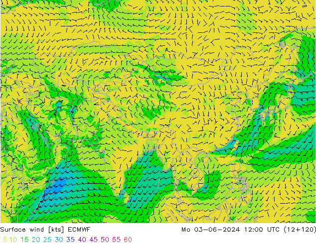 Vento 10 m ECMWF lun 03.06.2024 12 UTC