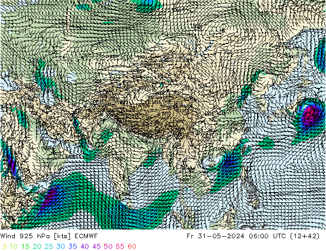 wiatr 925 hPa ECMWF pt. 31.05.2024 06 UTC