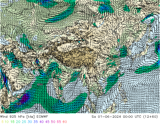 Wind 925 hPa ECMWF Sa 01.06.2024 00 UTC
