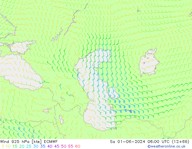 Vento 925 hPa ECMWF sab 01.06.2024 06 UTC