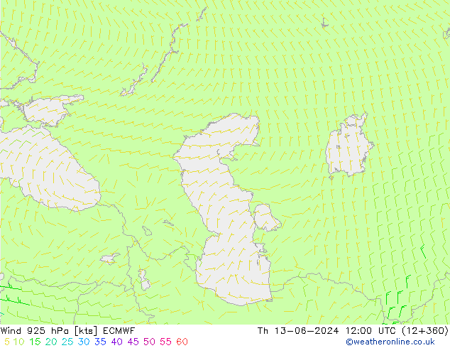 Wind 925 hPa ECMWF Th 13.06.2024 12 UTC