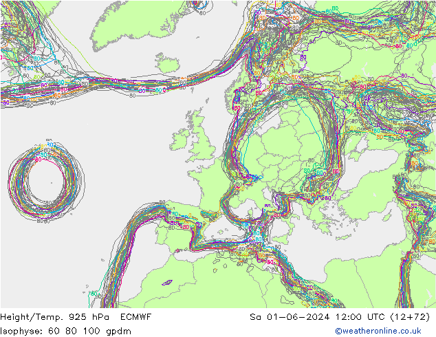 Height/Temp. 925 hPa ECMWF Sa 01.06.2024 12 UTC