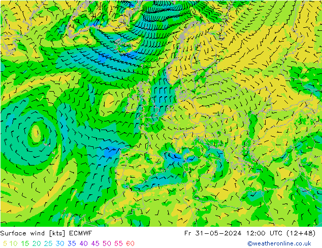 wiatr 10 m ECMWF pt. 31.05.2024 12 UTC