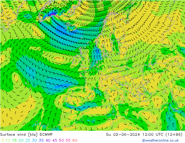 Bodenwind ECMWF So 02.06.2024 12 UTC