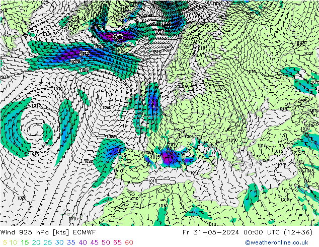 Wind 925 hPa ECMWF Pá 31.05.2024 00 UTC