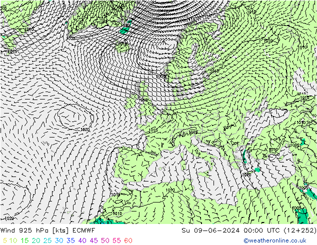 Wind 925 hPa ECMWF So 09.06.2024 00 UTC