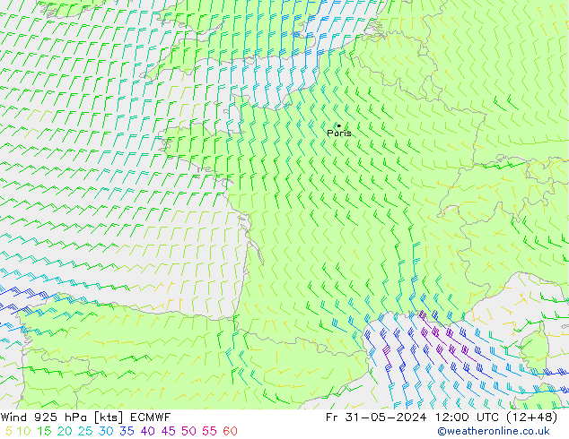 Wind 925 hPa ECMWF vr 31.05.2024 12 UTC