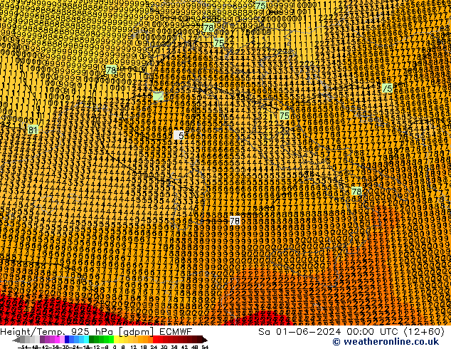 Height/Temp. 925 hPa ECMWF Sa 01.06.2024 00 UTC