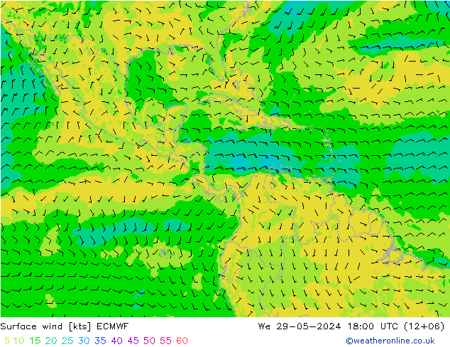 Wind 10 m ECMWF wo 29.05.2024 18 UTC