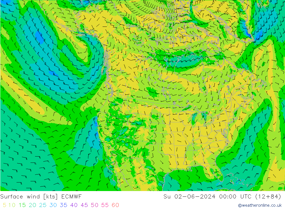 Bodenwind ECMWF So 02.06.2024 00 UTC