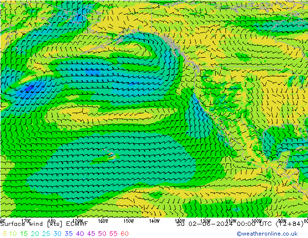 Surface wind ECMWF Su 02.06.2024 00 UTC