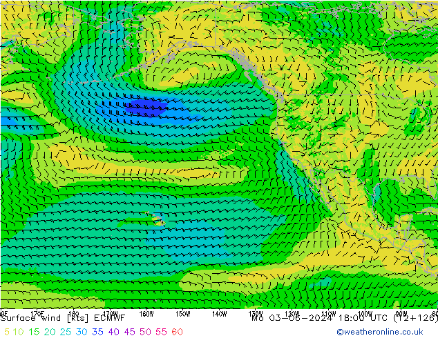 Surface wind ECMWF Po 03.06.2024 18 UTC