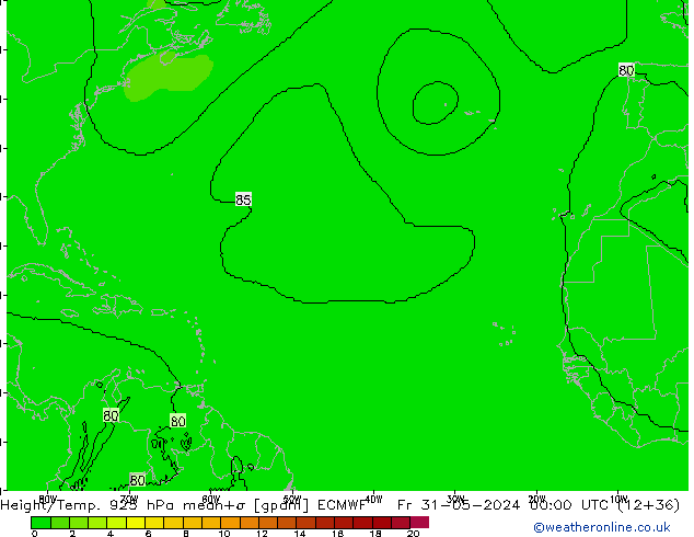 Height/Temp. 925 hPa ECMWF Fr 31.05.2024 00 UTC