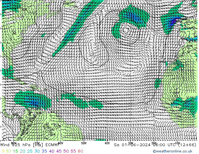 Rüzgar 925 hPa ECMWF Cts 01.06.2024 06 UTC