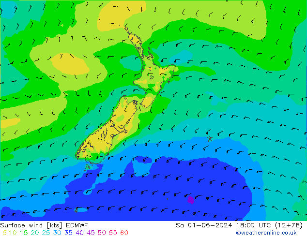 ветер 10 m ECMWF сб 01.06.2024 18 UTC