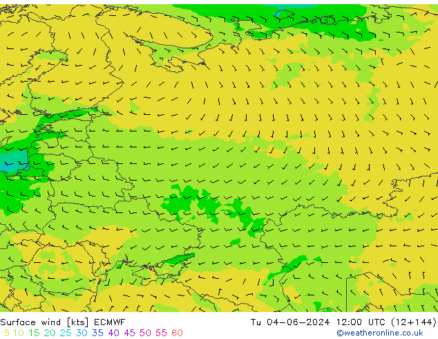 Surface wind ECMWF Tu 04.06.2024 12 UTC