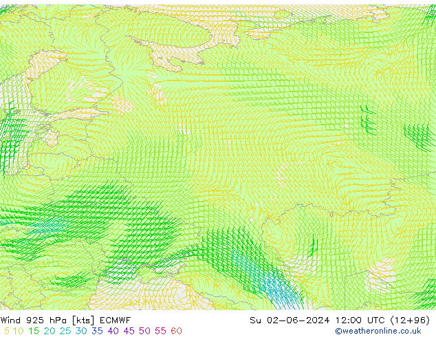 Wind 925 hPa ECMWF So 02.06.2024 12 UTC