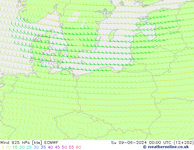 Wind 925 hPa ECMWF zo 09.06.2024 00 UTC