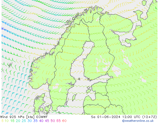 wiatr 925 hPa ECMWF so. 01.06.2024 12 UTC