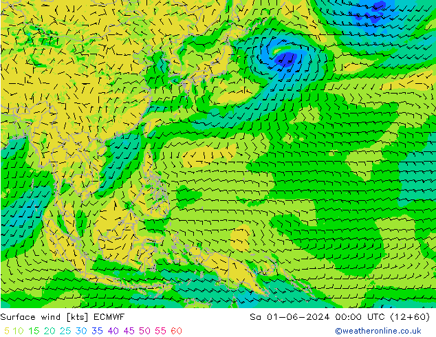 Vent 10 m ECMWF sam 01.06.2024 00 UTC