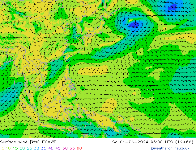  10 m ECMWF  01.06.2024 06 UTC