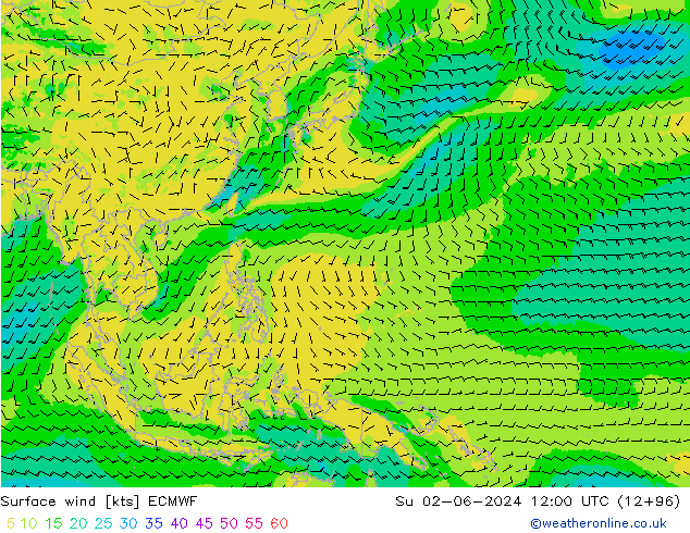 Surface wind ECMWF Su 02.06.2024 12 UTC