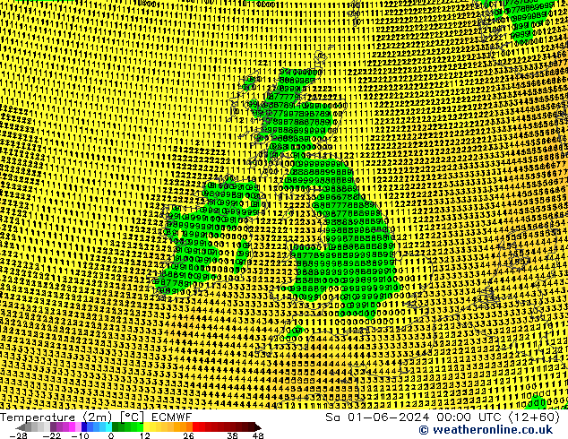 Sıcaklık Haritası (2m) ECMWF Cts 01.06.2024 00 UTC