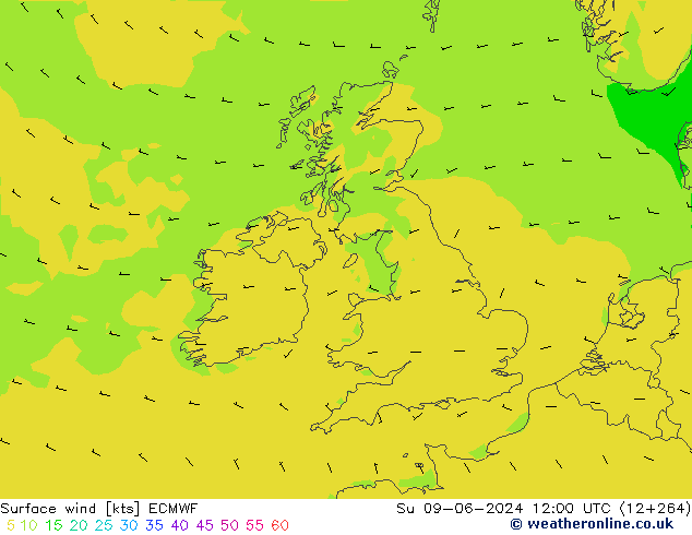 Surface wind ECMWF Ne 09.06.2024 12 UTC