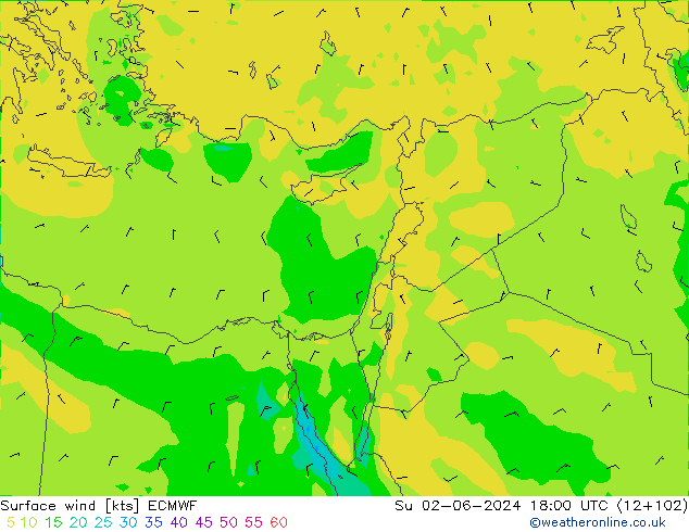  10 m ECMWF  02.06.2024 18 UTC