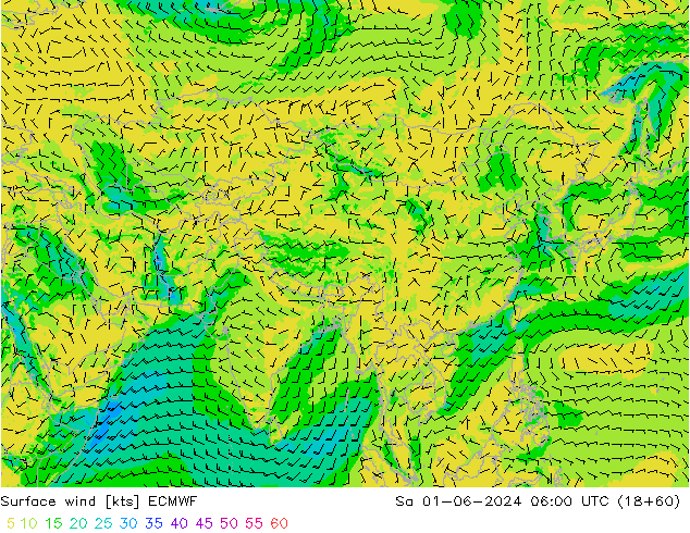 Surface wind ECMWF Sa 01.06.2024 06 UTC