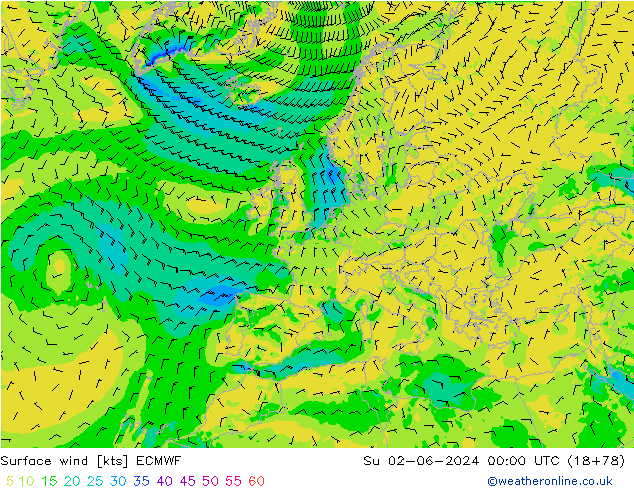 Surface wind ECMWF Su 02.06.2024 00 UTC