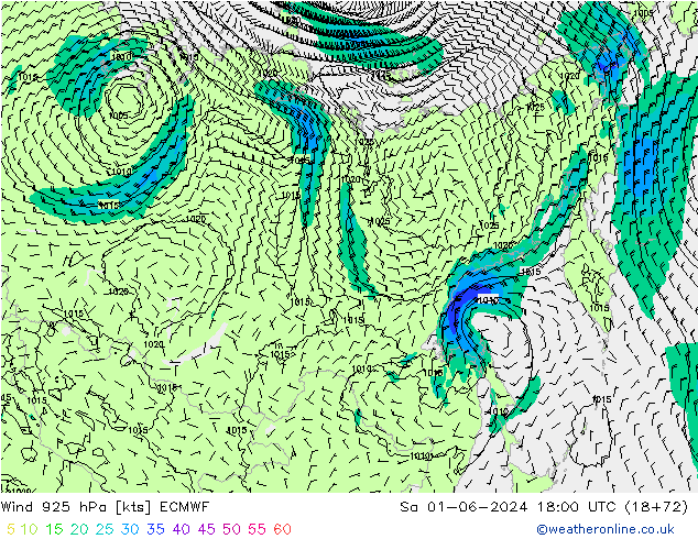 Rüzgar 925 hPa ECMWF Cts 01.06.2024 18 UTC