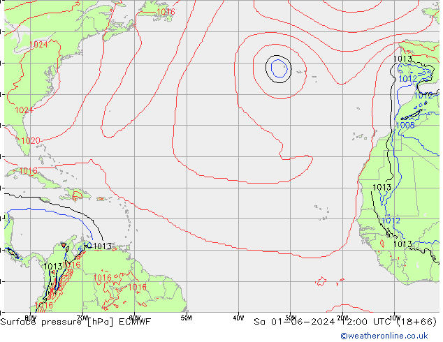 Yer basıncı ECMWF Cts 01.06.2024 12 UTC