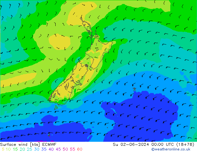 Surface wind ECMWF Su 02.06.2024 00 UTC