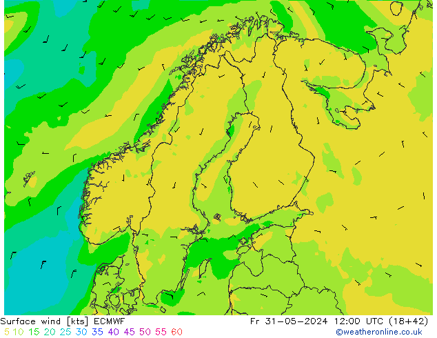 Surface wind ECMWF Pá 31.05.2024 12 UTC