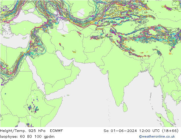 Height/Temp. 925 hPa ECMWF  01.06.2024 12 UTC